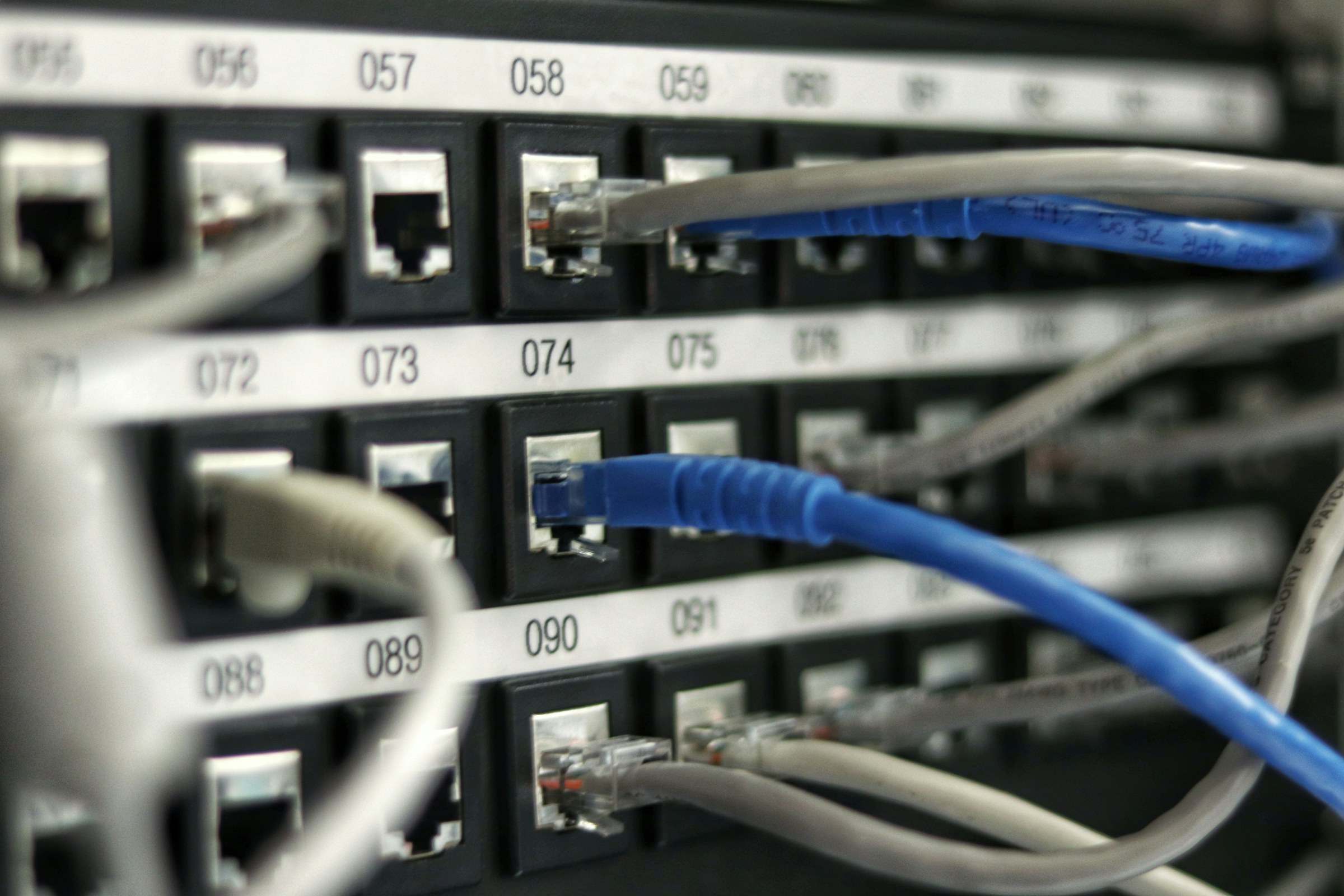 Network cables plugged into a numbered patch panel